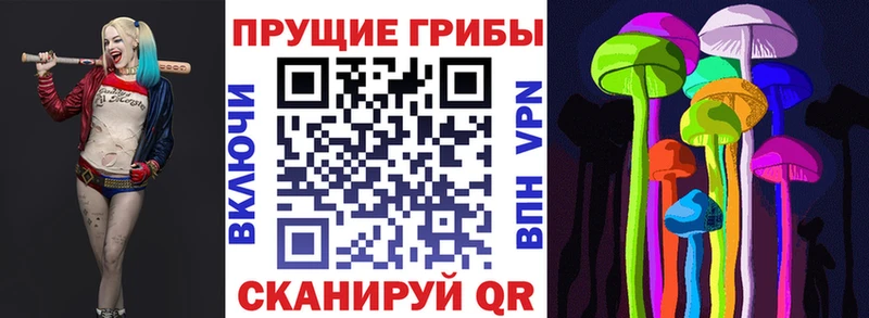 Галлюциногенные грибы Psilocybine cubensis  Саки 